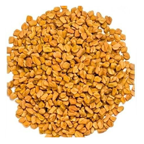 Fenugreek (Methi)